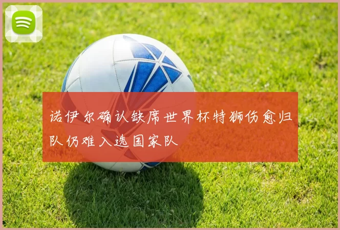 诺伊尔确认缺席世界杯特狮伤愈归队仍难入选国家队