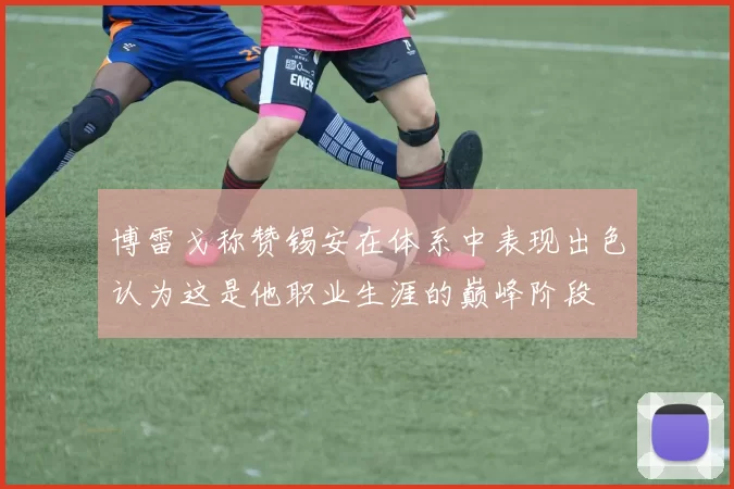 博雷戈称赞锡安在体系中表现出色认为这是他职业生涯的巅峰阶段
